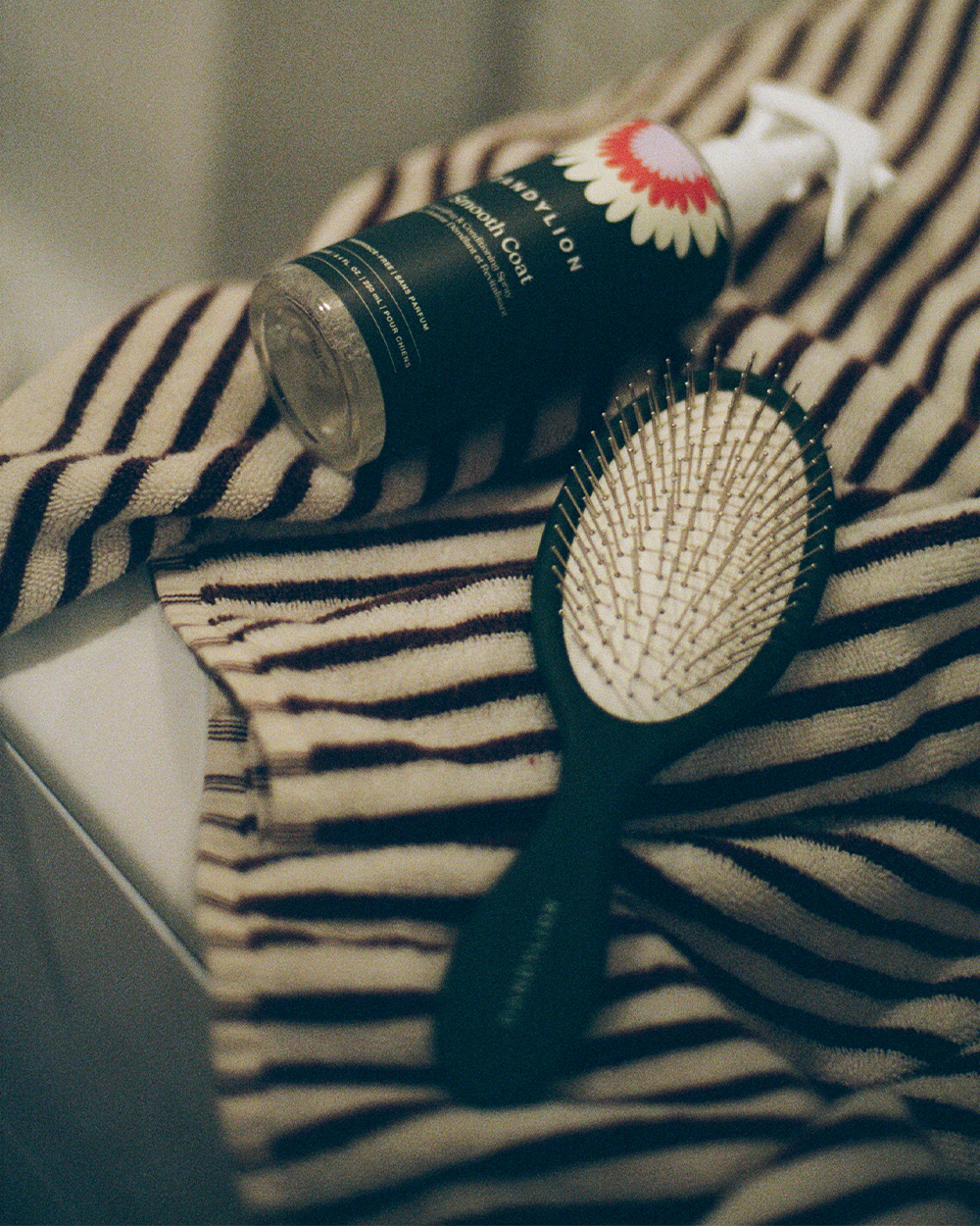 Untitled-1Artboard-2_7797360a-732a-41b8-8d18-062e340b7d57.png