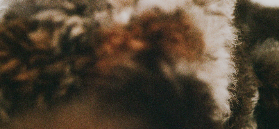 Untitled-3Artboard-2.png