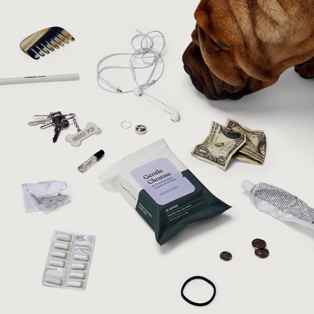 Wipes_Collection_Banner_Mobile.jpg