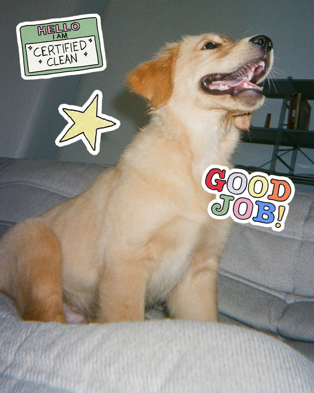 banner-mobileArtboard-2_5cb647d8-be24-4317-8493-d31151f475e7.png
